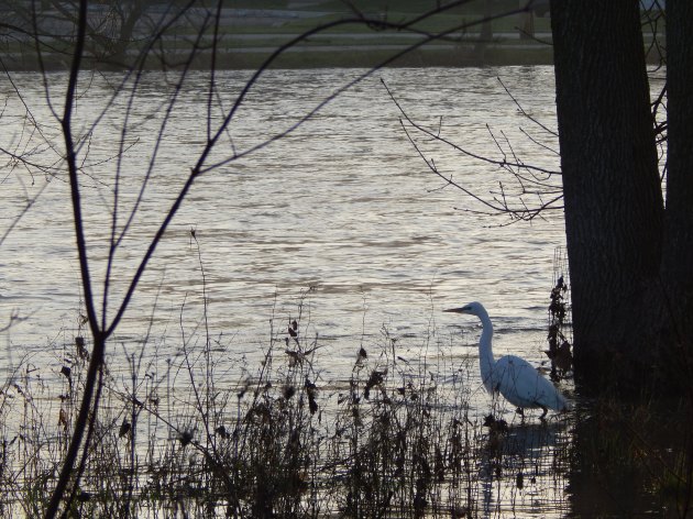 Saint Mary's Park 013