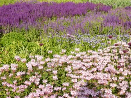 Chicago 6-5-2013 Lurie 1