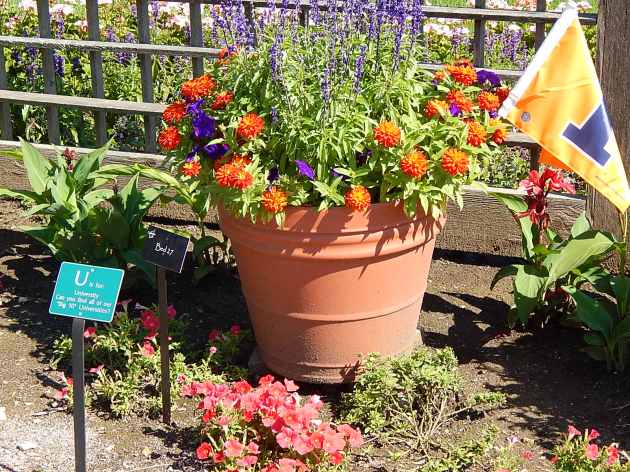 Illinois in living color