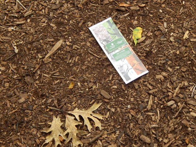 Morton Arboretum brochure