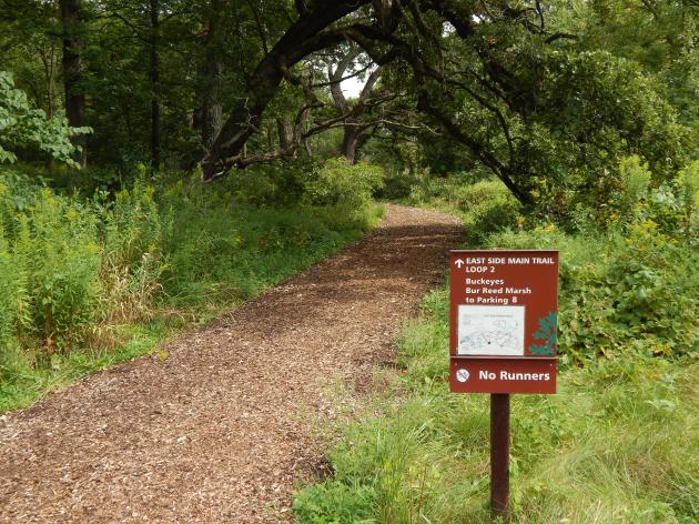 "No Running" Bugs have "The Right of Way"