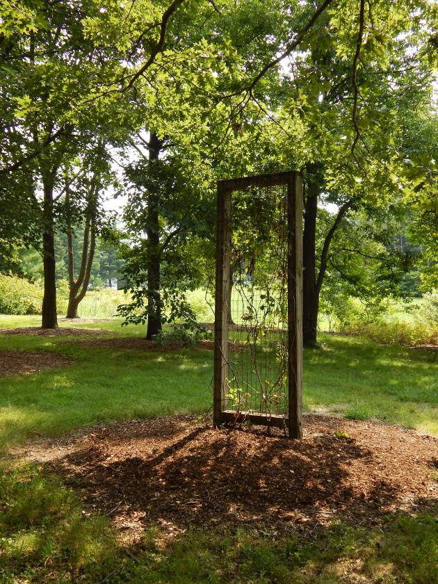 Jesus: "I am the True Vine and you are the branches."