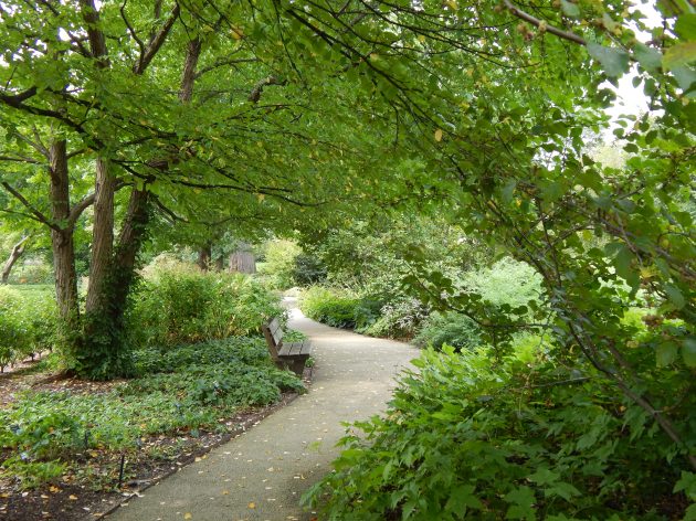 "A Walk In Paradise Garden"