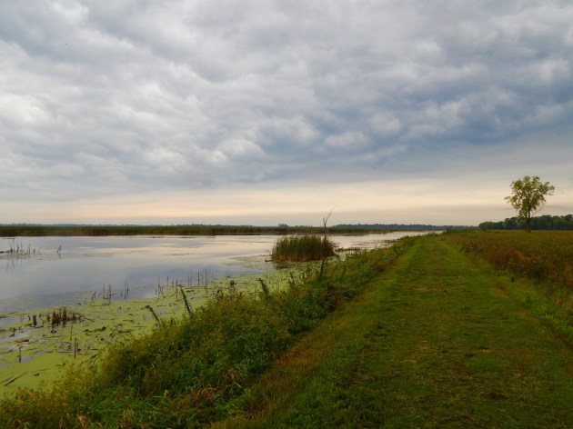 Horicon Marsh hiking trail ©Ann Johnson Kingdom Venturers