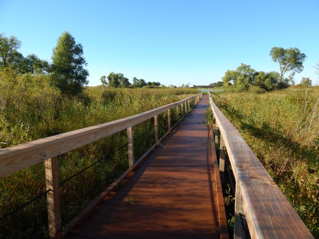 To Horicon Marsh Lookout