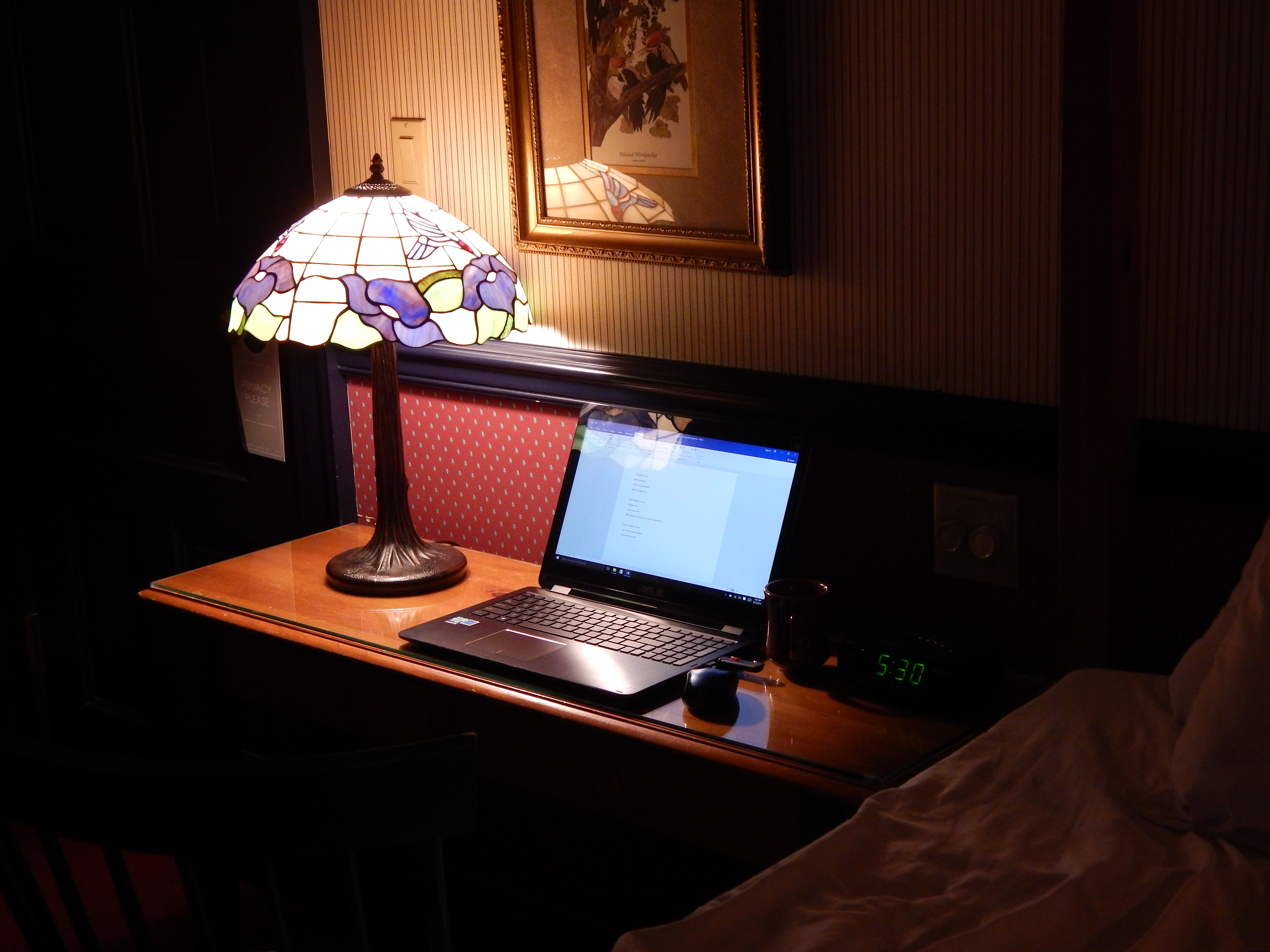 a-writer-sleeps-in-ann-johnson-kingdom-venturers